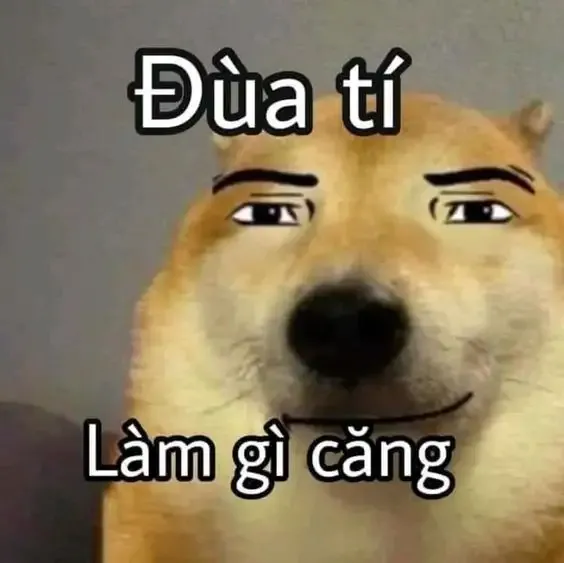  ảnh meme chế  31