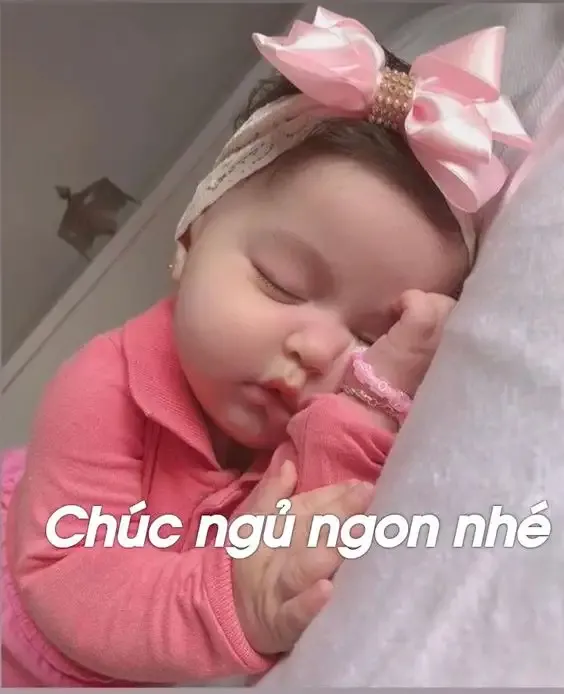 ảnh meme chúc ngủ ngon  15