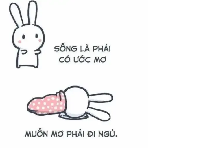 ảnh meme chúc ngủ ngon  27