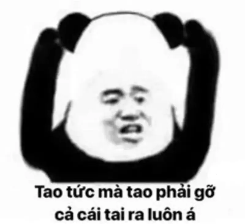  ảnh meme chửi  7