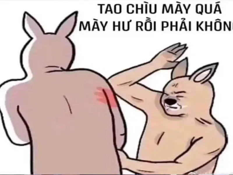 ảnh meme đánh  11