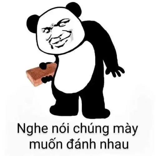 ảnh meme đánh  17