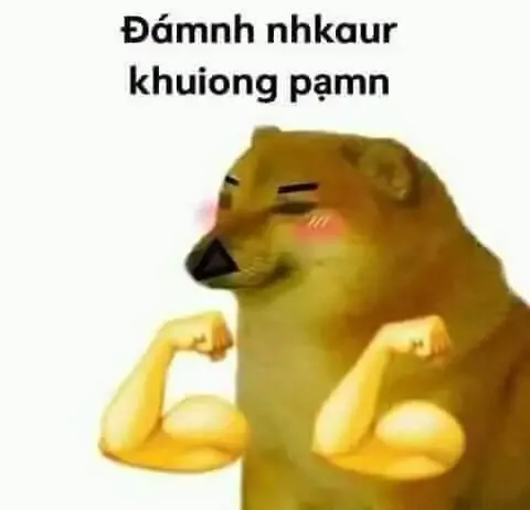 ảnh meme đánh  41