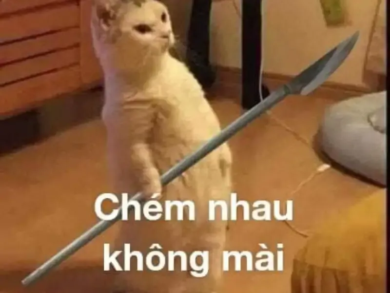 ảnh meme đánh  20