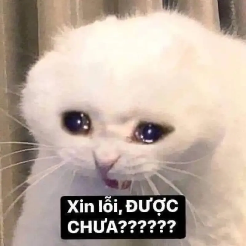  meme hài hước  32