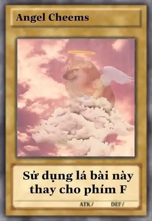  ảnh bài meme  19