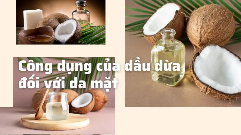 công dụng của dầu dừa trong làm đẹp 1