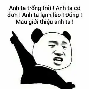  gấu trúc meme  17