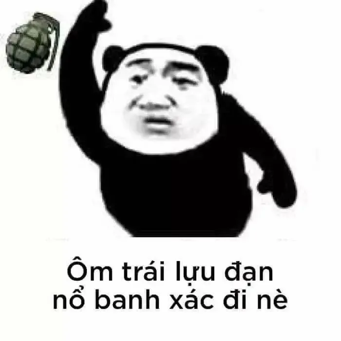  gấu trúc meme  2