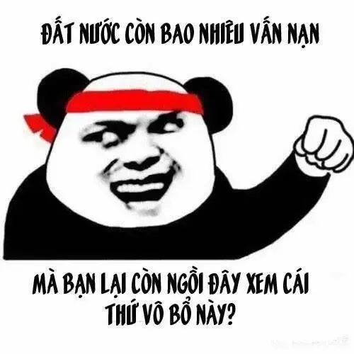  gấu trúc meme  22