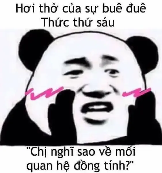  gấu trúc meme  26