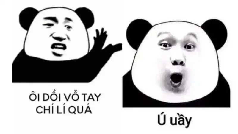  gấu trúc meme  5