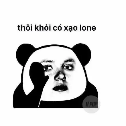  gấu trúc meme  35