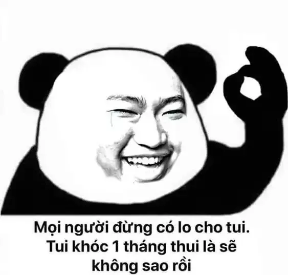  gấu trúc meme  37