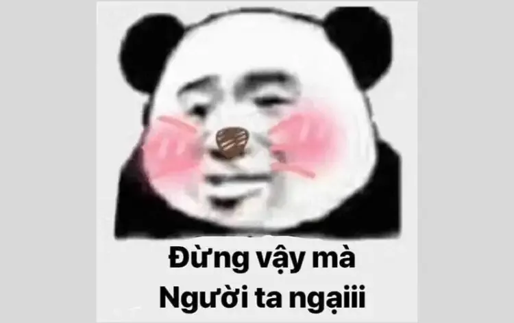  gấu trúc meme  6