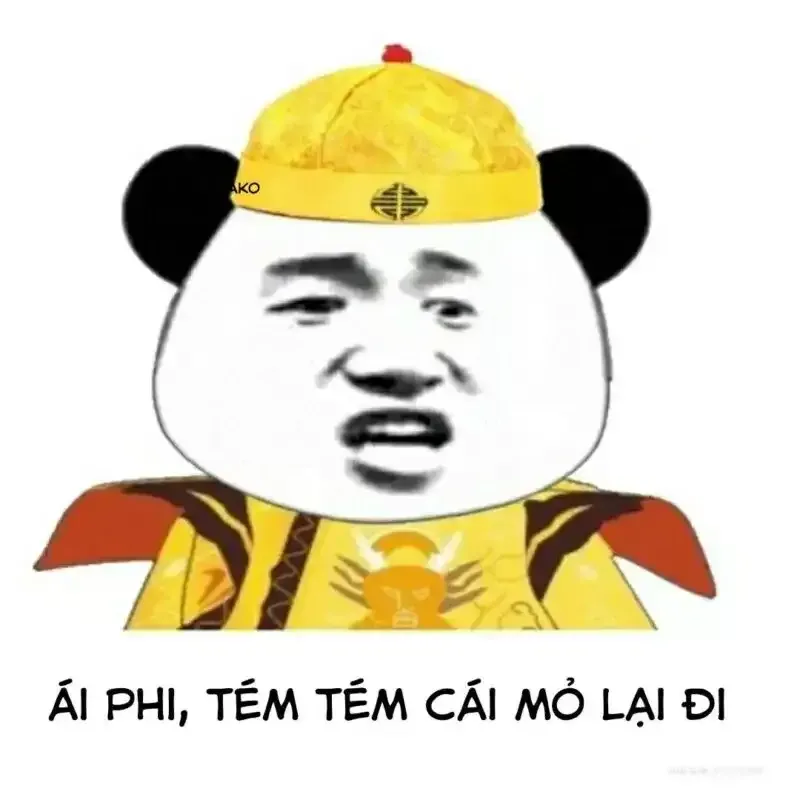  gấu trúc meme  39