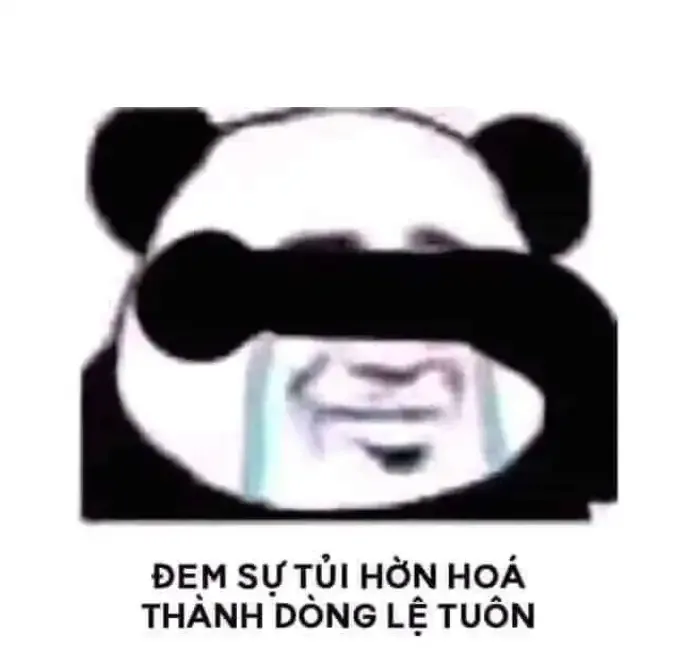  gấu trúc meme  15