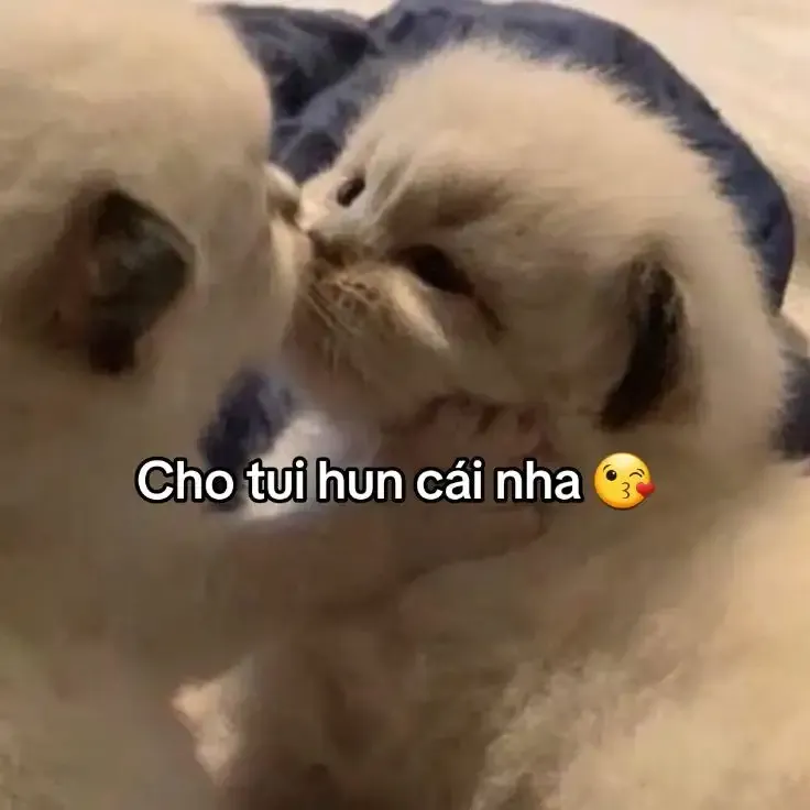  ảnh hình meme cute  28