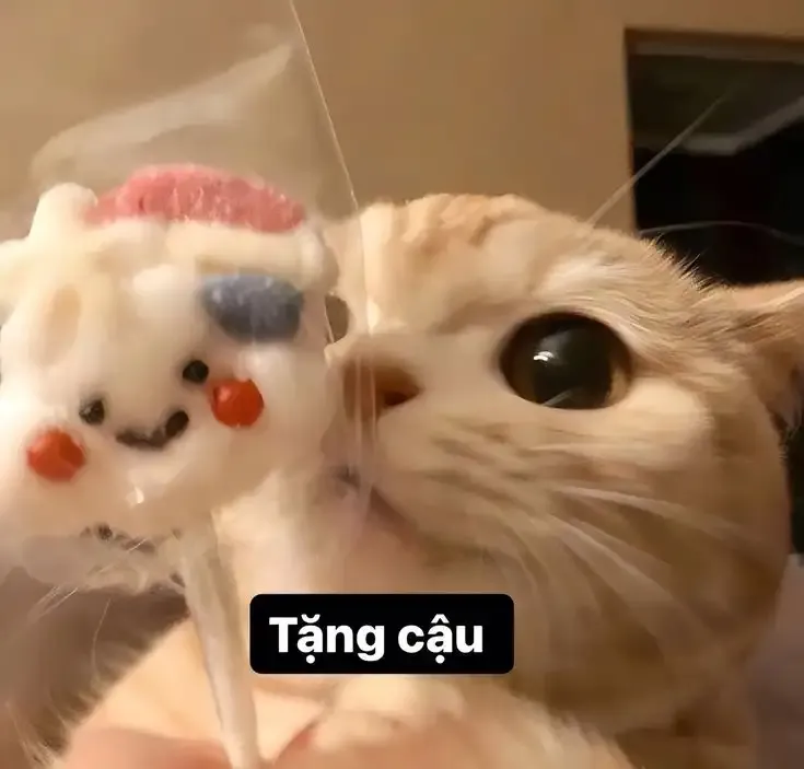  ảnh hình meme cute  31