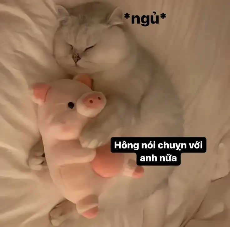  ảnh hình meme cute  37