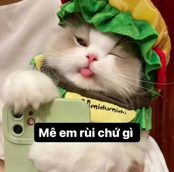  ảnh hình meme cute  39