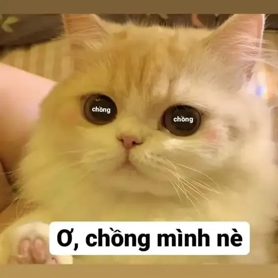  ảnh hình meme cute  42