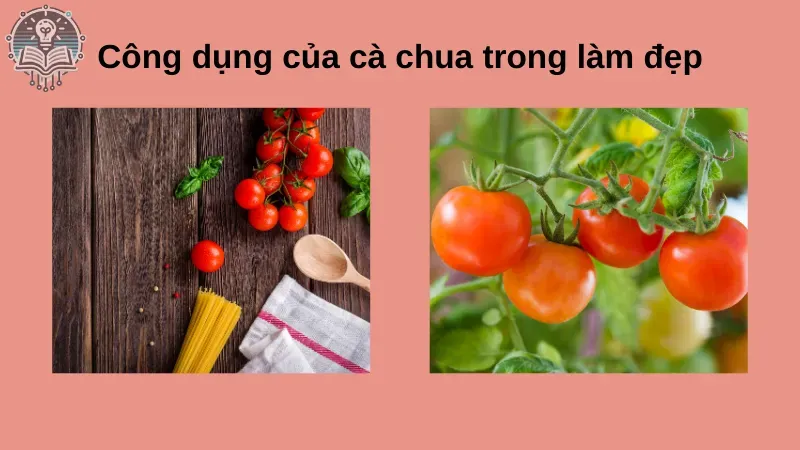 làm đẹp bằng cà chua 1