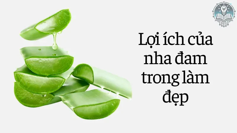 làm đẹp bằng nha đam 2