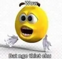  ảnh meme bất ngờ 5