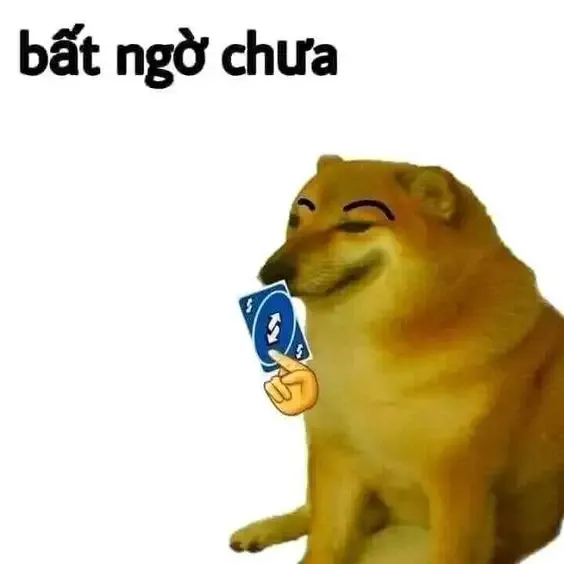  ảnh meme bất ngờ 12