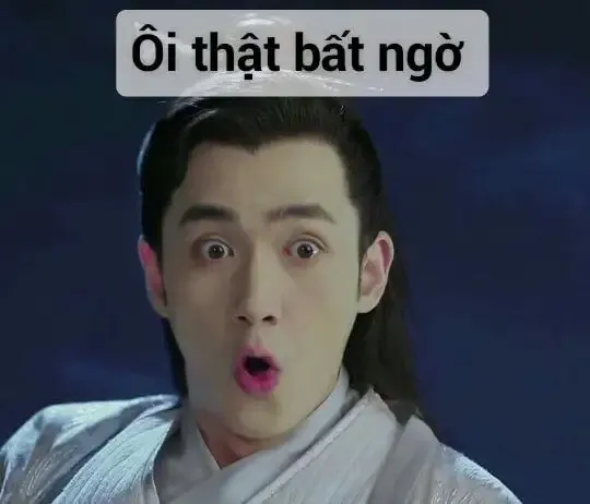  ảnh meme bất ngờ 31