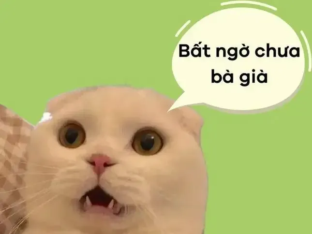  ảnh meme bất ngờ 32