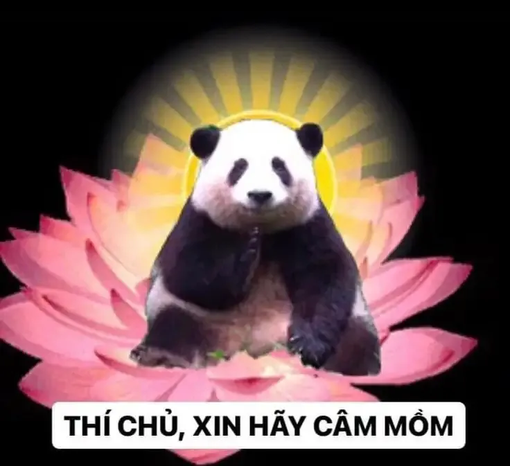 ảnh meme cảm ơn 3