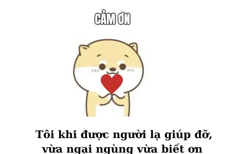 ảnh meme cảm ơn 23