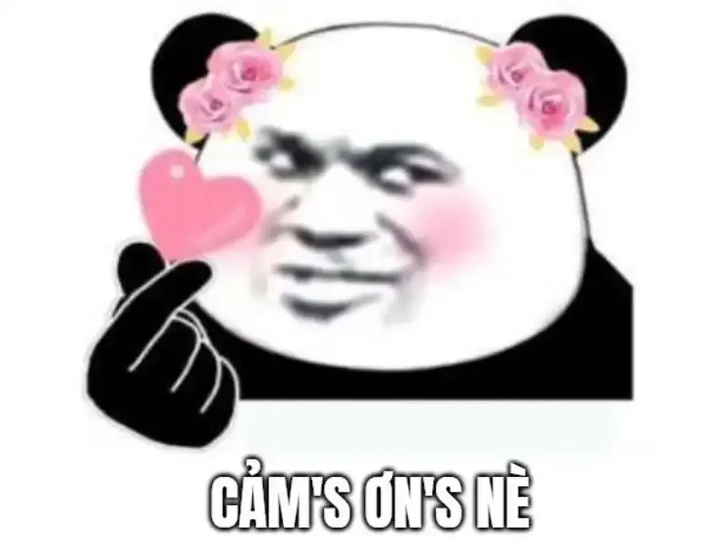 ảnh meme cảm ơn 8