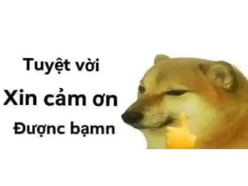 ảnh meme cảm ơn 26