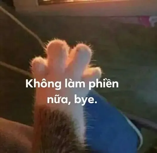 ảnh meme cảm ơn 11