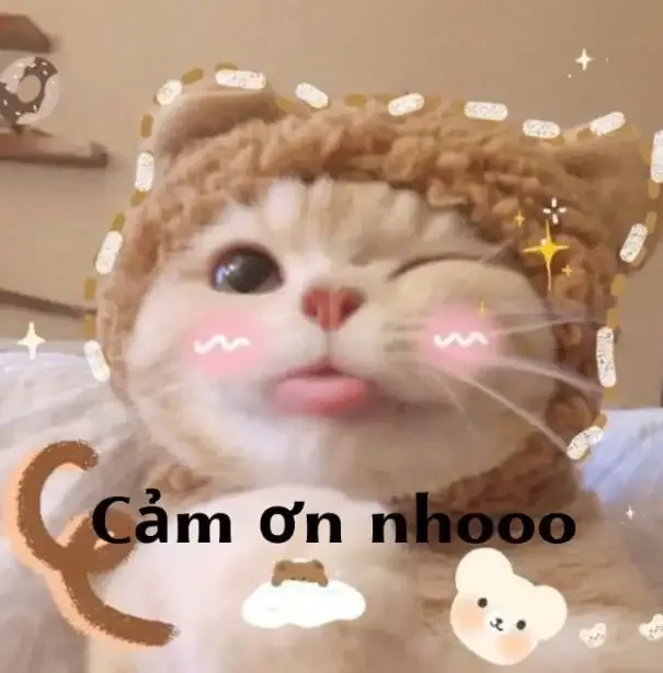 ảnh meme cảm ơn 37