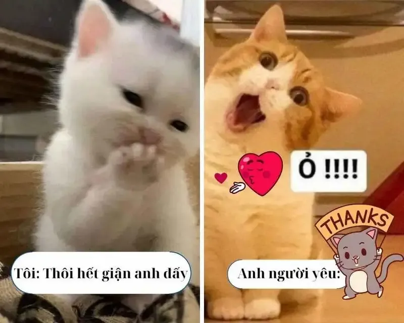 ảnh meme cảm ơn 38