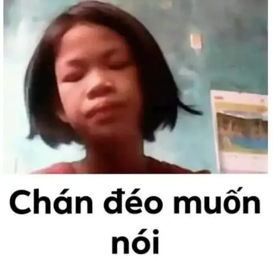  ảnh meme chê  15