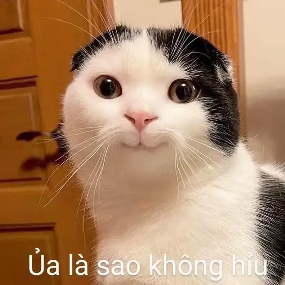  ảnh meme chê  28