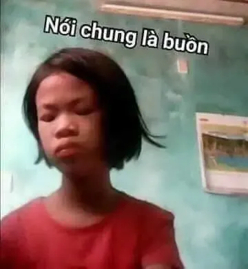  ảnh meme chê  31