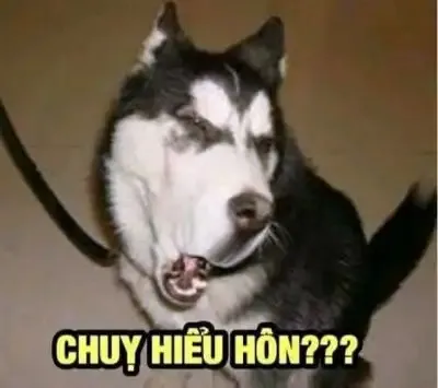 ảnh meme cười  27