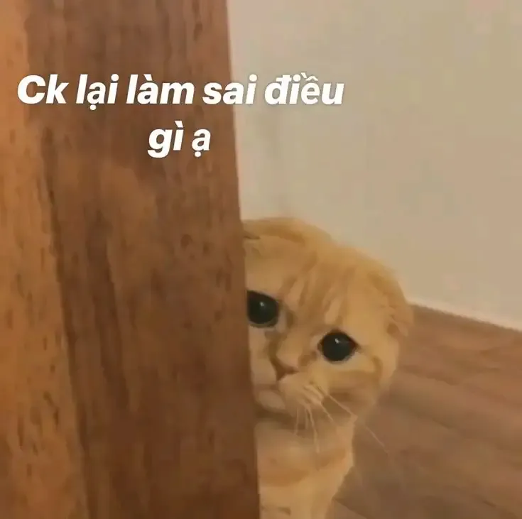 ảnh Meme Cute  5