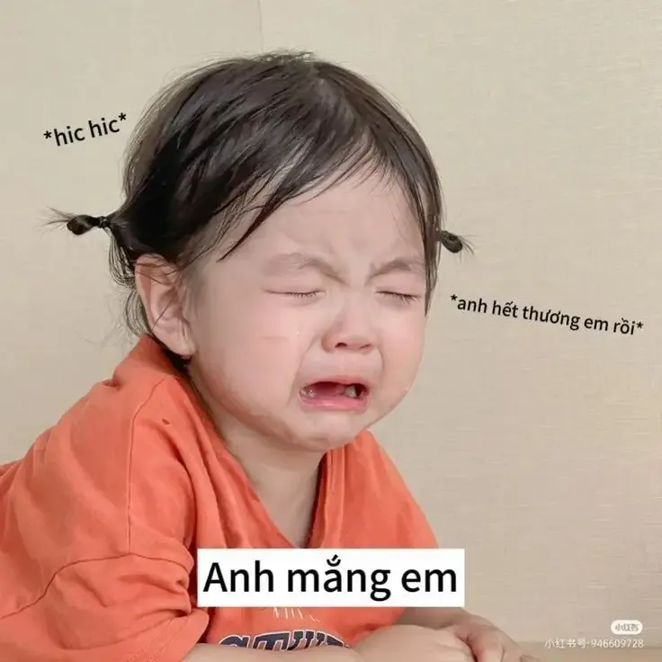 ảnh Meme Cute  29