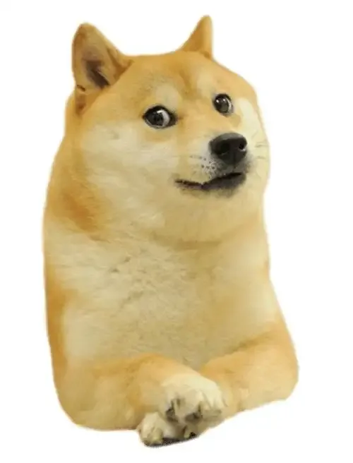 ảnh Meme dog  13