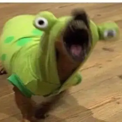 ảnh Meme dog  22