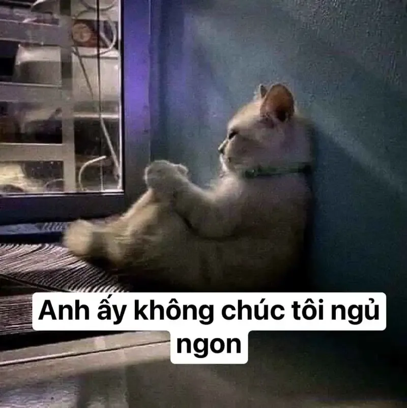  ảnh meme dỗi  3