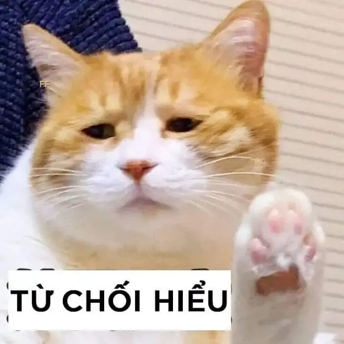  ảnh meme dỗi  13