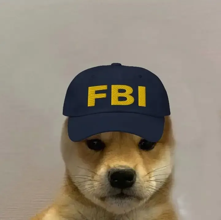  ảnh meme fbi  5